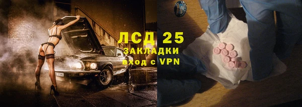 СК Осинники