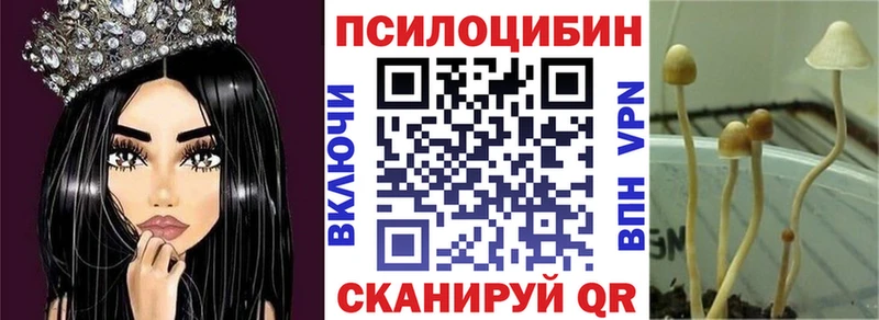 Купить где  Ангарск  Галлюциногенные грибы Psilocybine cubensis 